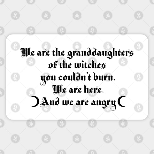 We are the granddaughters of the witches you couldn't burn Sticker by Blacklinesw9